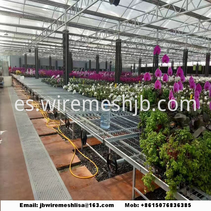 Galvanized Welded Wire Mesh Greenhouse Rolling Benches